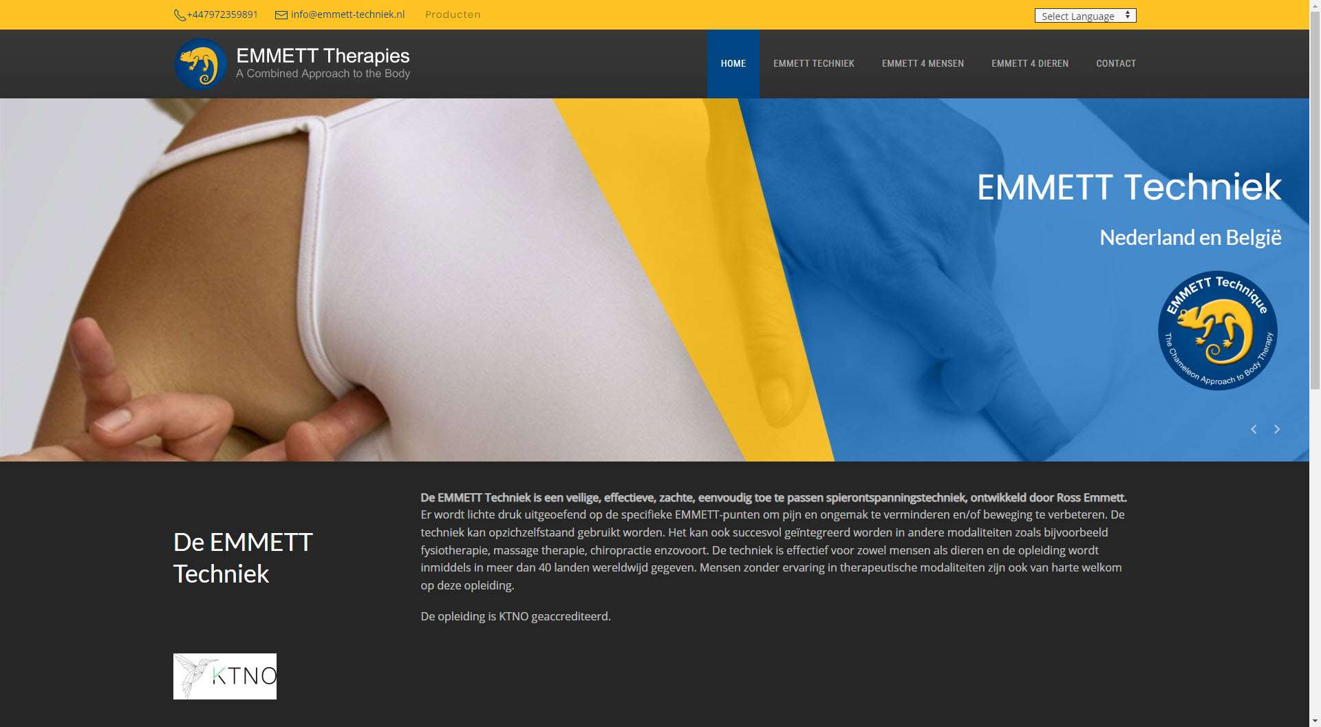 Emmett Technique (Dutch)