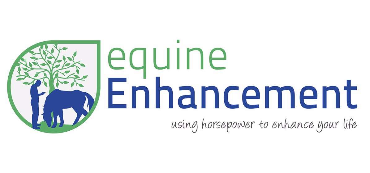 Equine Enhancement