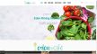 Click to view screenshot of Rising Sun Eden Cafe website.