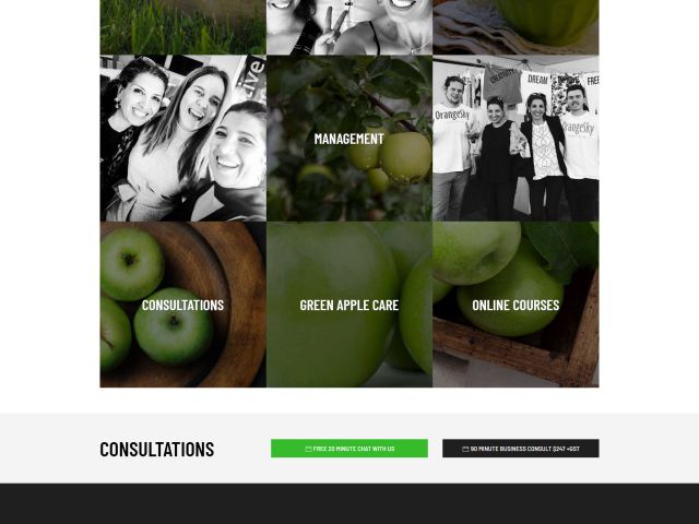 images/portfolio/Joomla/greenapplemarketing//greenapple-1.jpg