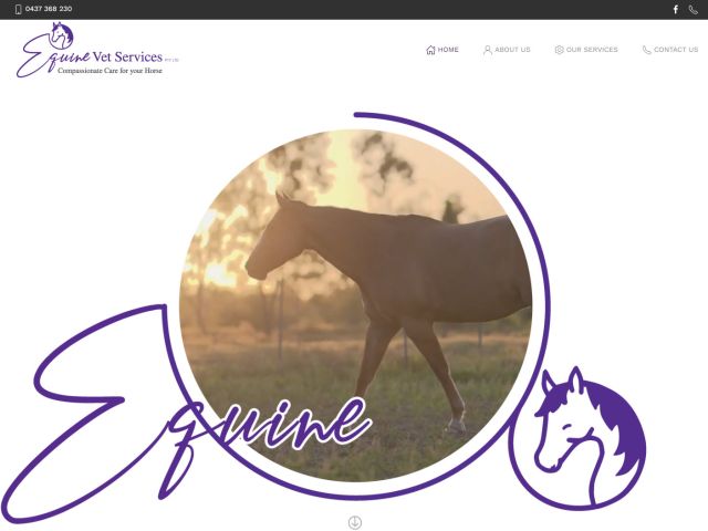 images/portfolio/Joomla/equinevetservices//screen-cap.jpg