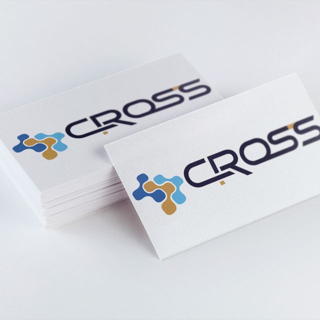 Cross Survey & Development Consultants Logo Mock-up