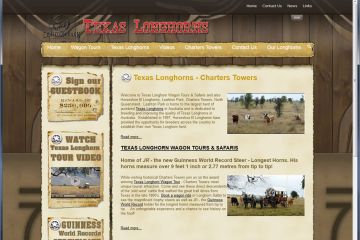 Texas Longhorn