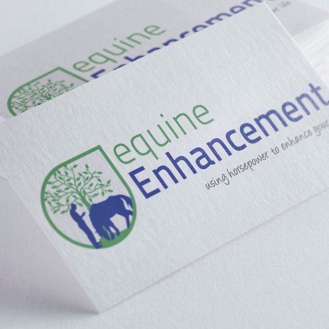 Equine Enhancement Logo Mock-up