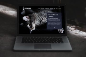 Feniks Maine Coons