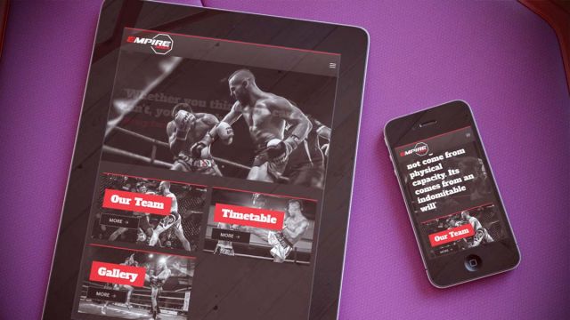 Empire MMAWebsite Portfolio Page