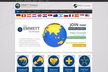 Emmett Therapies