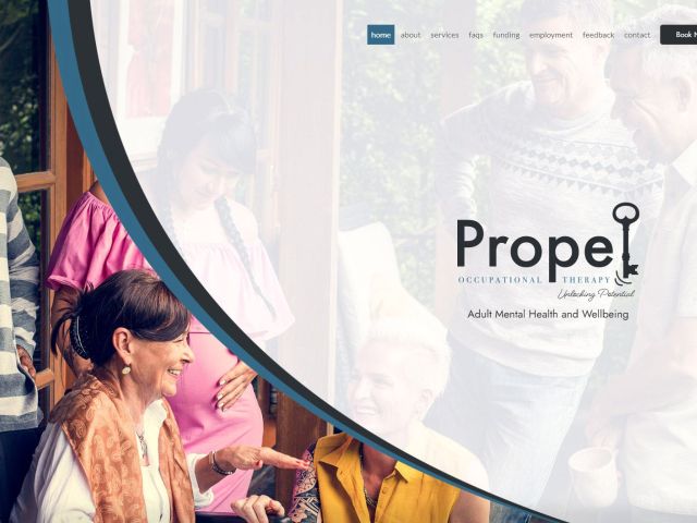 images/portfolio/Joomla/Propelot//02.jpg