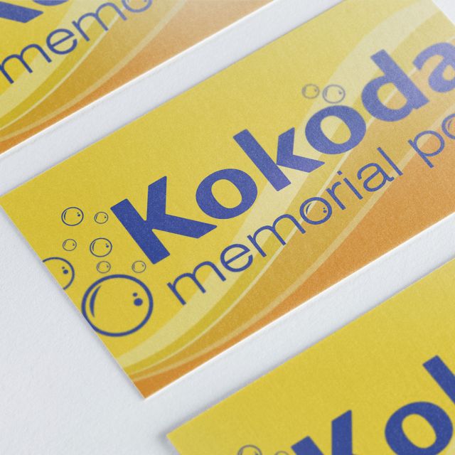 Kokoda Memorial Pool Logo Mock-up