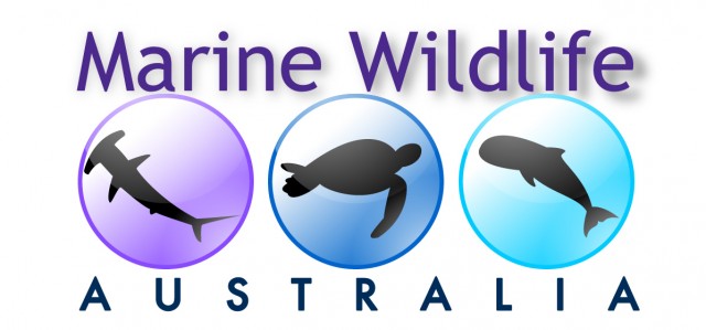 Marine Wildlife Australia