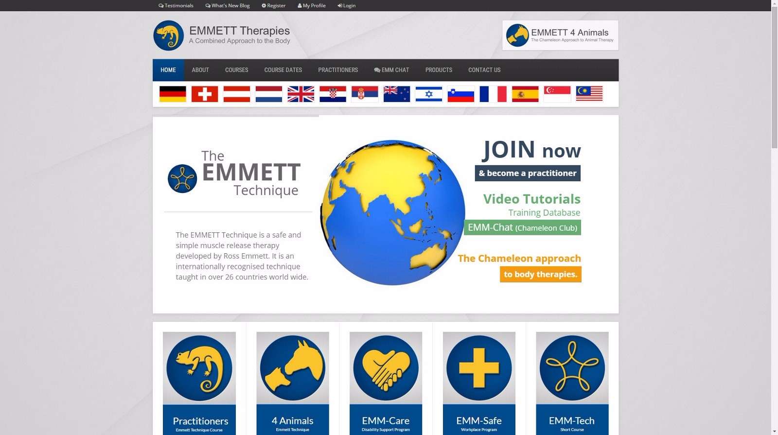 Emmett Therapies