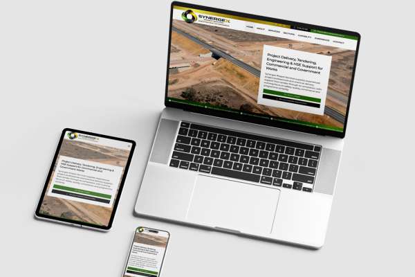 Synergex Project Services