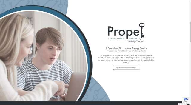 images/portfolio/Joomla/Propelot//03.jpg