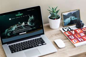 Heavensgate Maine Coons