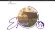 Click to view screenshot of Equine Vet Services website.