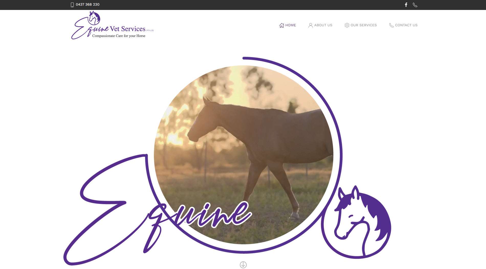 Equine Vet Services