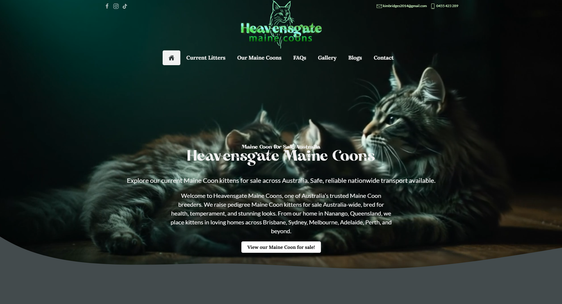 Heavensgate Maine Coons